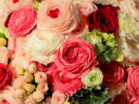 お祝い・ハレの日