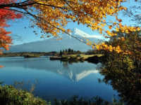 行楽・イベント