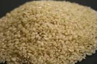 無農薬コシヒカリ３ｋｇ